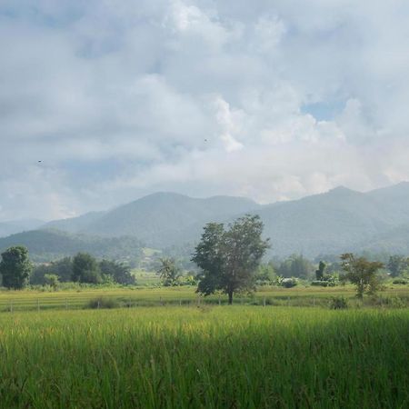 Camp View Mountain - Sell Experience By Paddy Fields Haven - Natures Nest Pai Ngoại thất bức ảnh