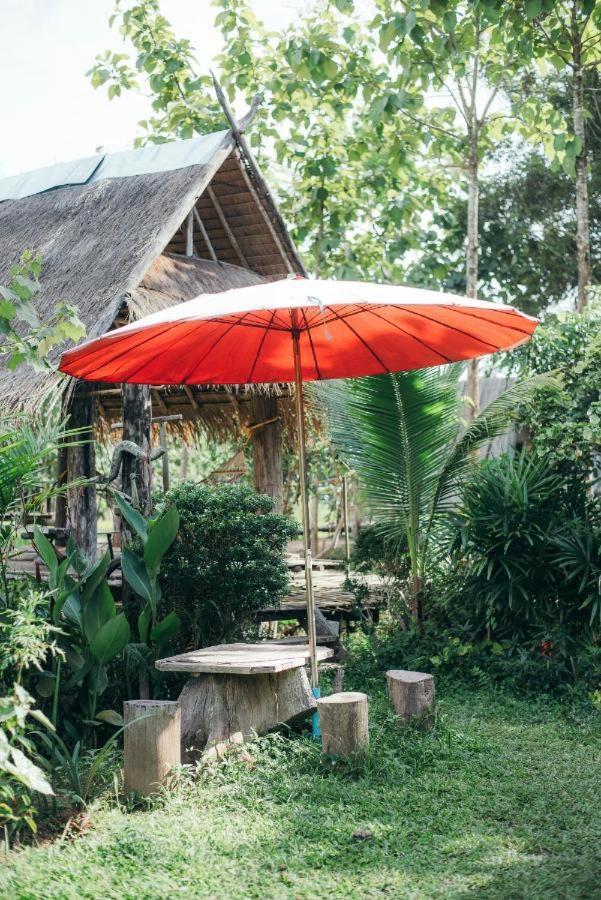 Camp View Mountain - Sell Experience By Paddy Fields Haven - Natures Nest Pai Ngoại thất bức ảnh