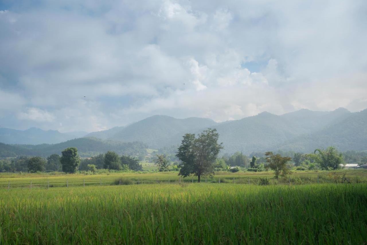 Camp View Mountain - Sell Experience By Paddy Fields Haven - Natures Nest Pai Ngoại thất bức ảnh