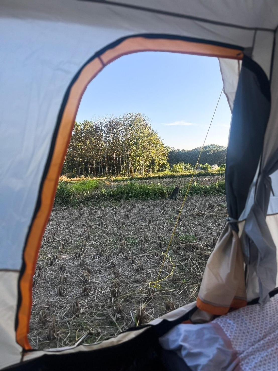 Camp View Mountain - Sell Experience By Paddy Fields Haven - Natures Nest Pai Ngoại thất bức ảnh