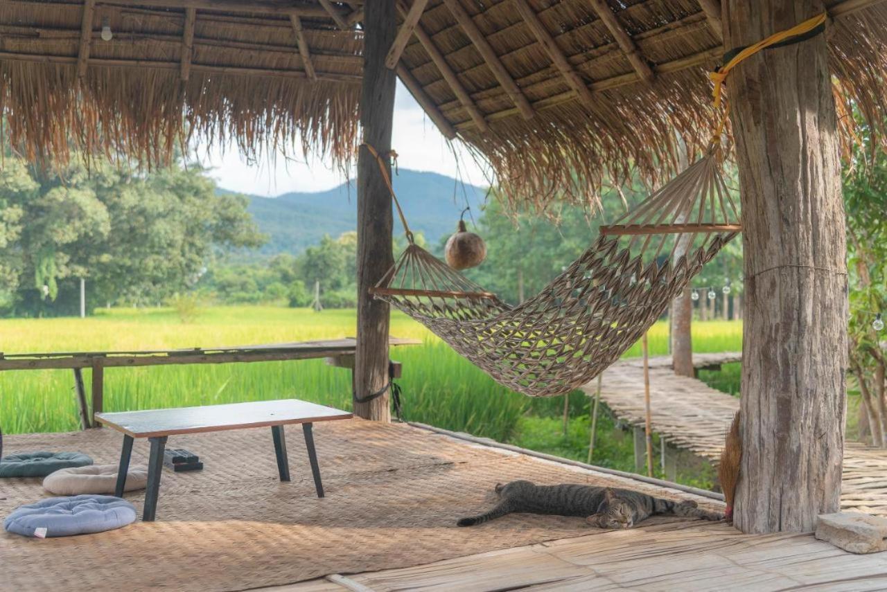 Camp View Mountain - Sell Experience By Paddy Fields Haven - Natures Nest Pai Ngoại thất bức ảnh